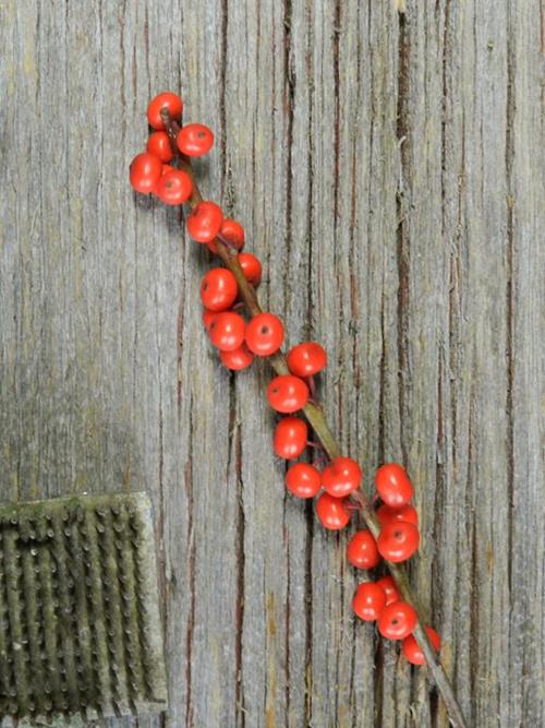  RED ILEX BERRIES